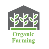 organic farming