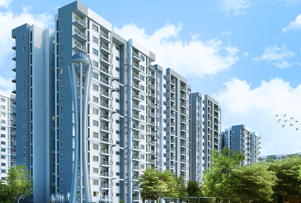 l&t-raintree-boulevard