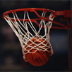 Monarch Aqua basketball